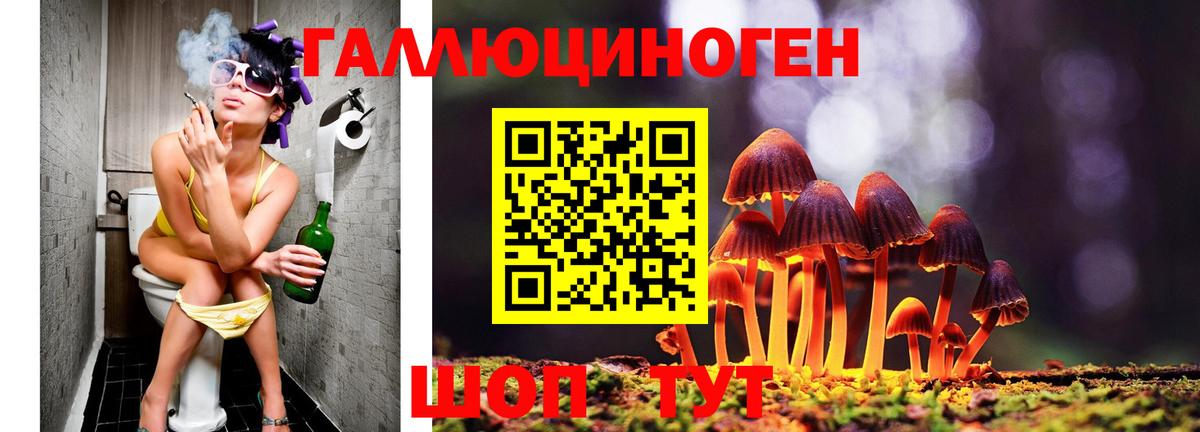 Псилоцибиновые грибы Magic Shrooms  Псилоцибиновые грибы мицелий  Вход с VPN  Советский 